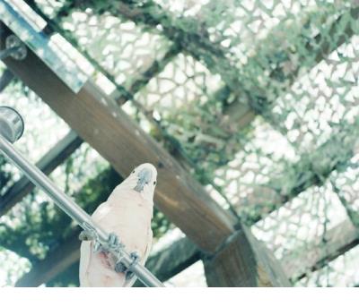 女生励志说说大全