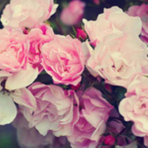 晚安的短句心情短语