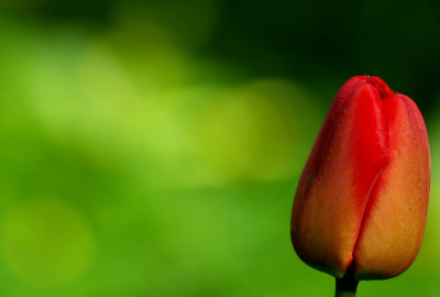 ​幽默出去玩朋友圈文案 出去玩发朋友圈搞笑沙雕