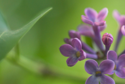 ​早晨励志语录 励志说说致自己