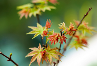 好兄弟网名最新版(优选63个)