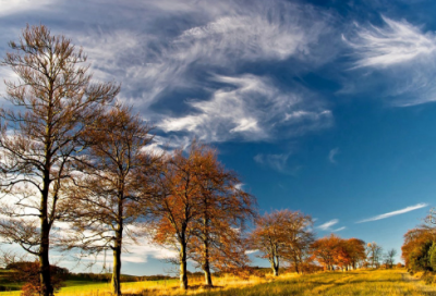 ​最火爆微博名(91个)