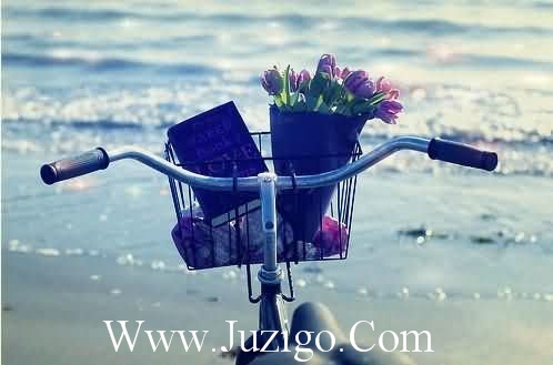 适合214情人节发的说说文案句子(适合情人节发的朋友圈)