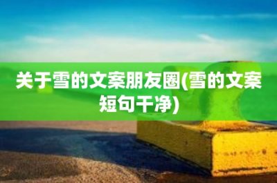 ​关于雪的文案朋友圈(雪的文案短句干净)