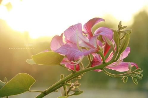 微商励志说说配图