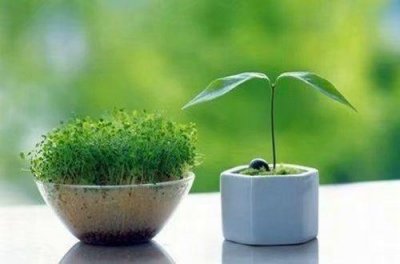 ​保密格言83句