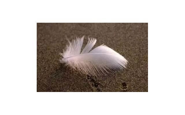 对兄弟失望看透的句子说说心情(对兄弟失望看透的句子说说心情短句)