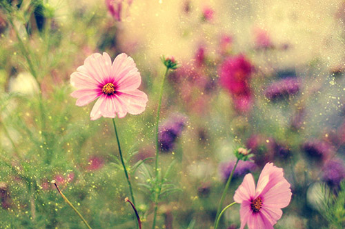 朋友圈说说下雨83句