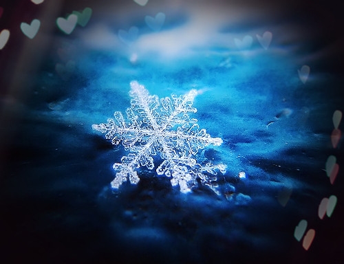 很累很累的经典说说(共76句) 很累很累的经典说说(共76句)