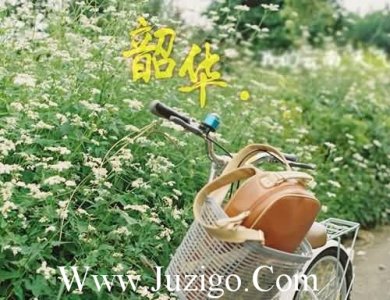 ​晚安心语优美的语句适合发朋友圈的晚安语(精选70句)
