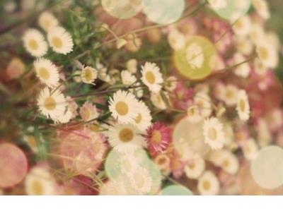 初中生座右铭大全简短