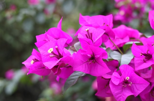 天蝎座女网名霸气 天蝎座女网名霸气