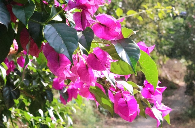 天蝎座女网名霸气 天蝎座女网名霸气