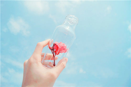 爱一人句子85句