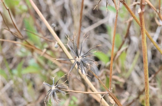 特别心酸的网名(精选209个)