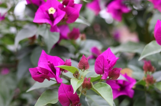 单身专用撩妹套路网名