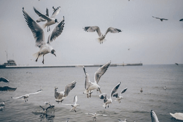 寓意好有内涵的微信名字