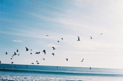 ​写给最深爱的人一段话一段写给爱人的感动话(90句)