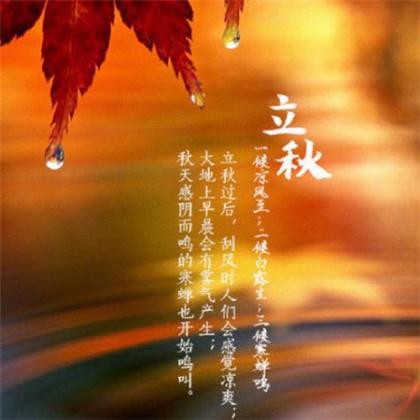 森林的句子短句唯美