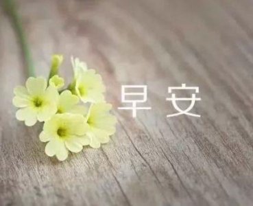 ​qq唯美英文网名
