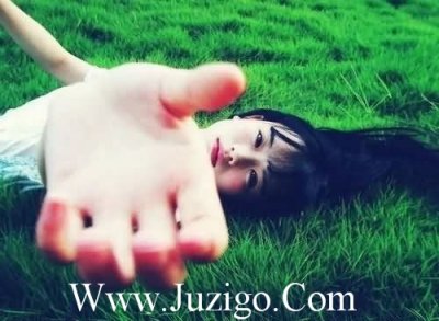 ​向日葵简短唯美句子一年级(精选95句)