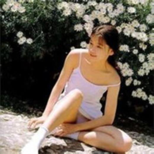 赞美春天的句子大全