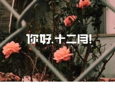 描写春天景象的句子