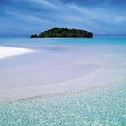 献爱心抒情的句子