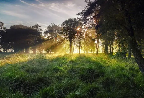 1692981944583984.png image.png