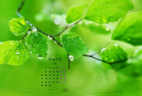 1692982275314734.png image.png