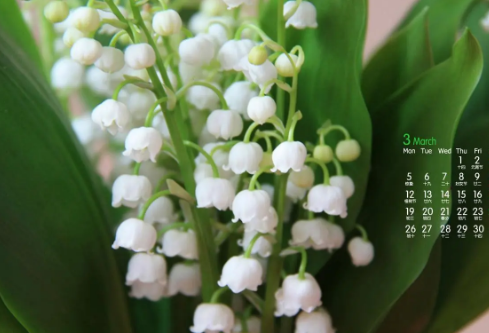 1692982606100711.png image.png