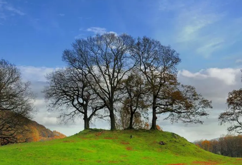 1692982772747892.png image.png