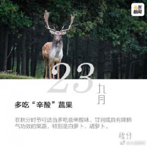 ​伤心（朋友圈句子说说心情句子经典）