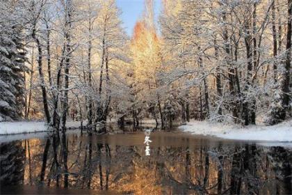 学校形象宣传广告文案