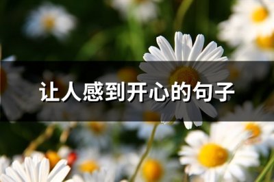 ​让人感到开心的句子(优选89句)