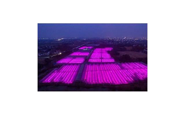 生活中修行不妨看看这两句话，“关我什么事”与“关你什么事”