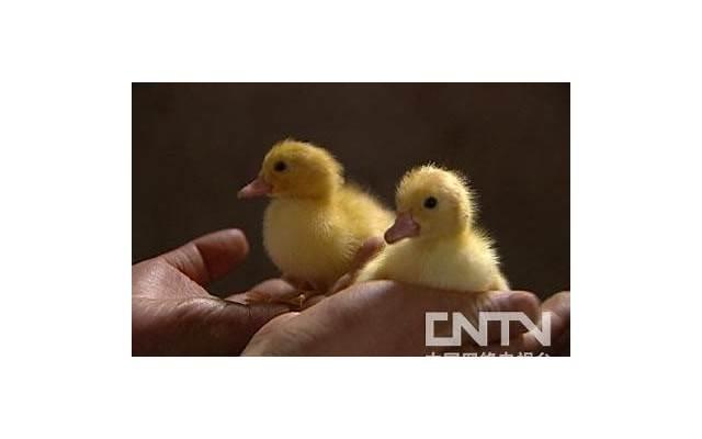 撩妹套路聊天，撩妹套路开头第一句话