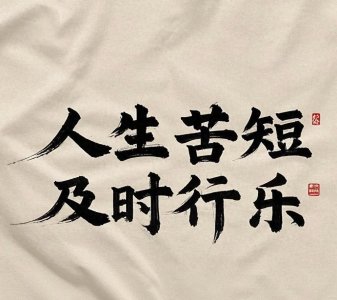 ​感悟人生的经典句子