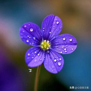 ​清晨发朋友圈的暖心句子，第六句送给妹妹