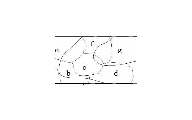 海口咖啡文案抖音（海口的咖啡文化）