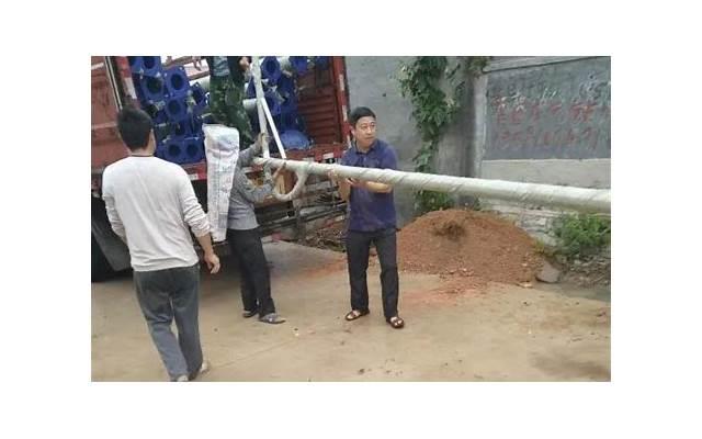 描写郁金香的一句话精选19句