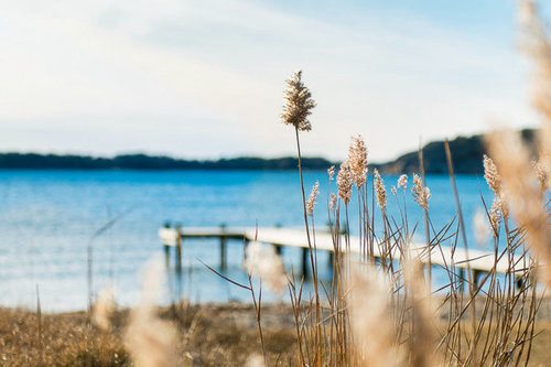 一瞬间彻底醒悟的说说 看透了人心社会的现实的句子