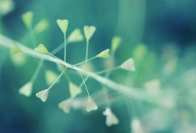 ​六一儿童节适合发朋友圈的文案(优秀)