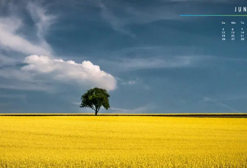 1711128880421430.png image.png