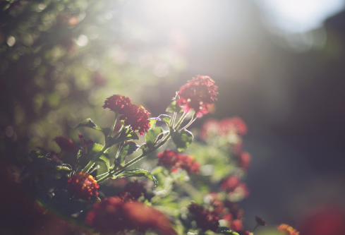 1702339070221157.png image.png