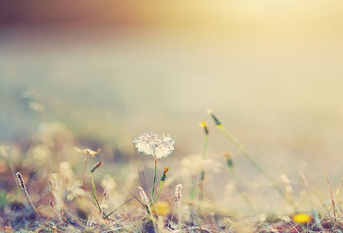 1702336918211890.png image.png