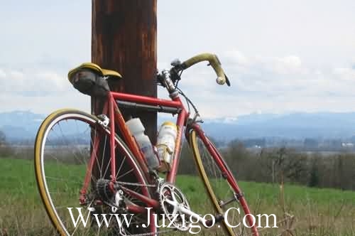 看了你的说说神回复54句