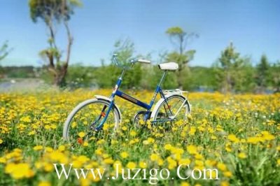​清明节唯美句子清明节语句(精选99句)
