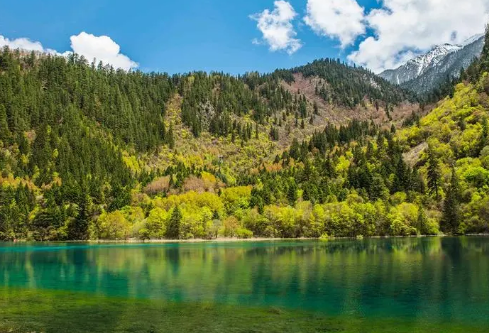 1711136577415301.png image.png