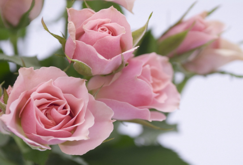 1710992785425080.png image.png